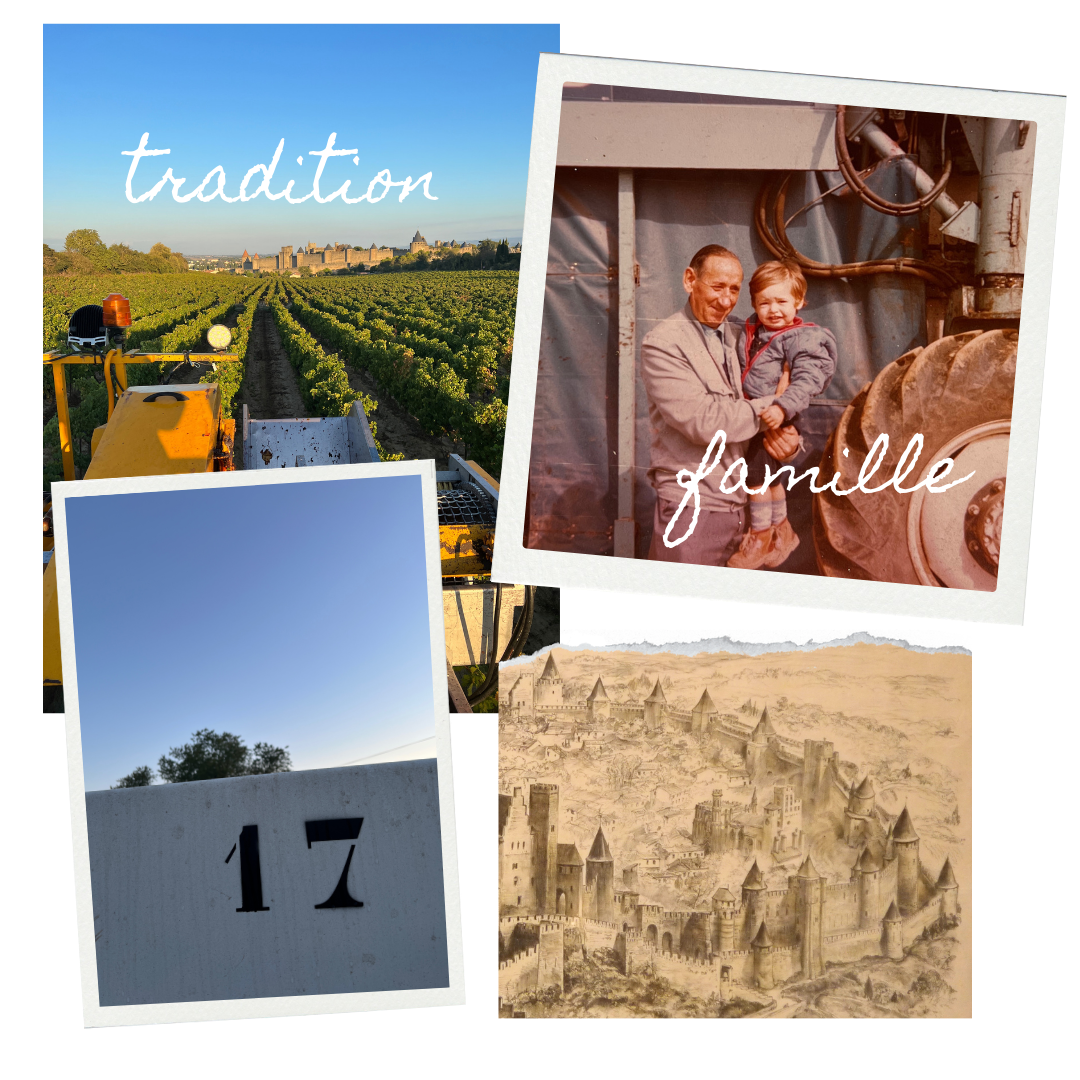 Domaine fontaine grande, valeurs famille et tradition