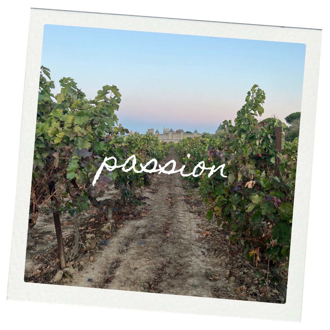 Une passion pour la vigne