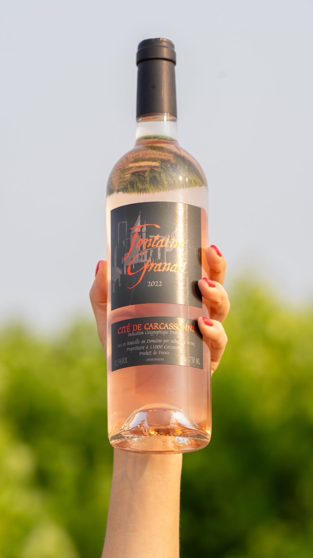 Le Rosé du Domaine Fontaine Grande IGP Cité de Carcassonne